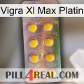 Vigra Xl Max Platinum new11